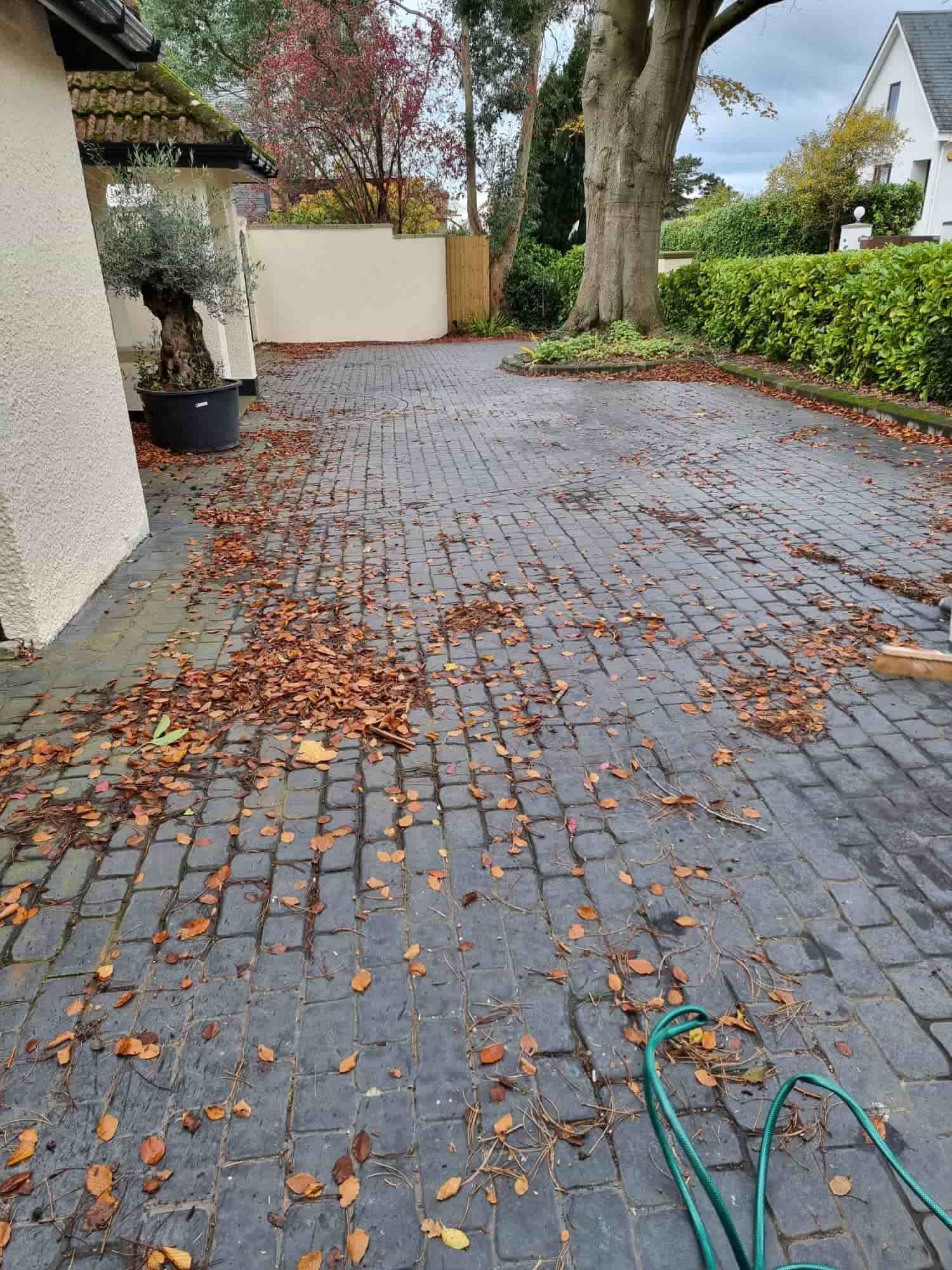 driveway cleaning
